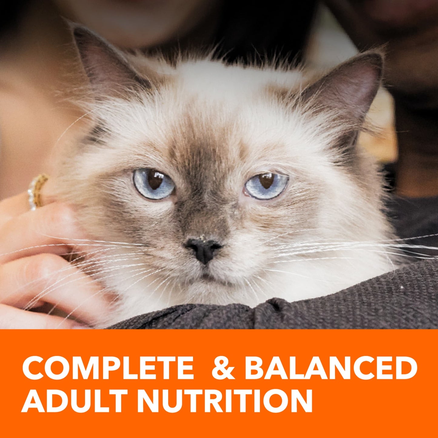 Iams Proactive Health Dry Cat Food, Chicken Flavor, 22 lb Bag