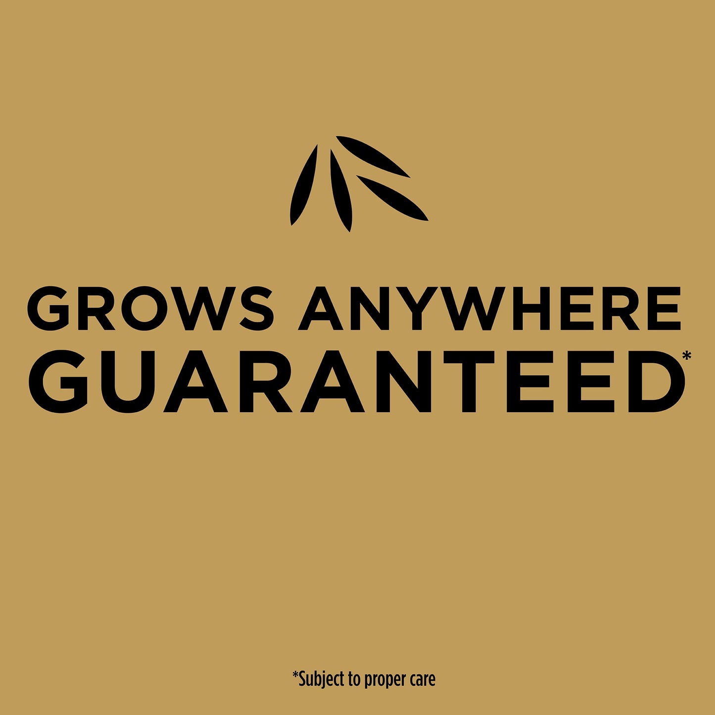 Scotts EZ Seed Patch & Repair Sun and Shade, 3.75 lbs., up to 85 sq. ft.