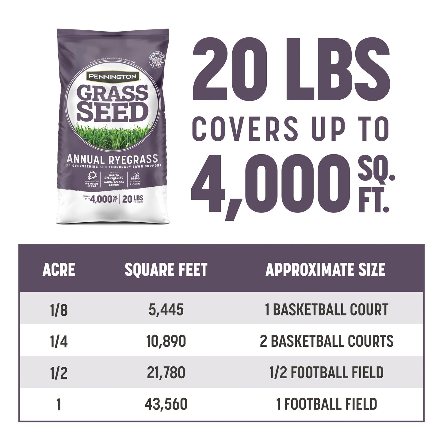 Pennington Annual Ryegrass Grass Seed, 20lb, Full Sun to Partial Shade, Rye Grass Seeds for Lawn, 1 Bag