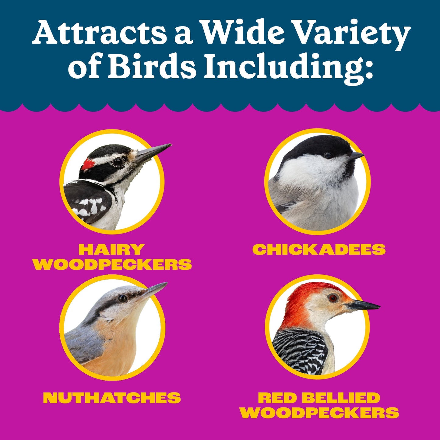 Pennington Feeding Frenzy Woodpecker Nut & Fruit Double Nut Blend Wild Bird Food, 15 Pounds