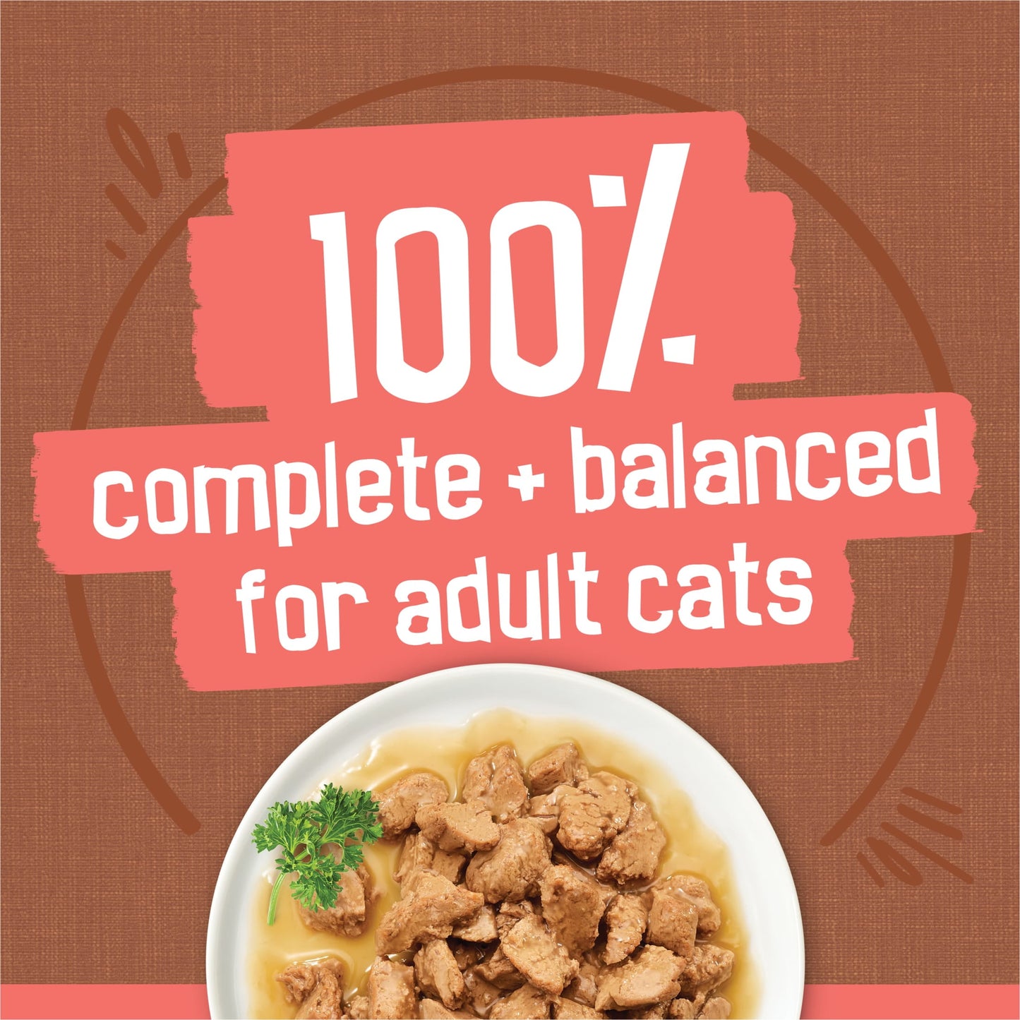 Purina Friskies Extra Chunky Gravy Variety Pack, Wet Cat Food, 5.5 oz Cans