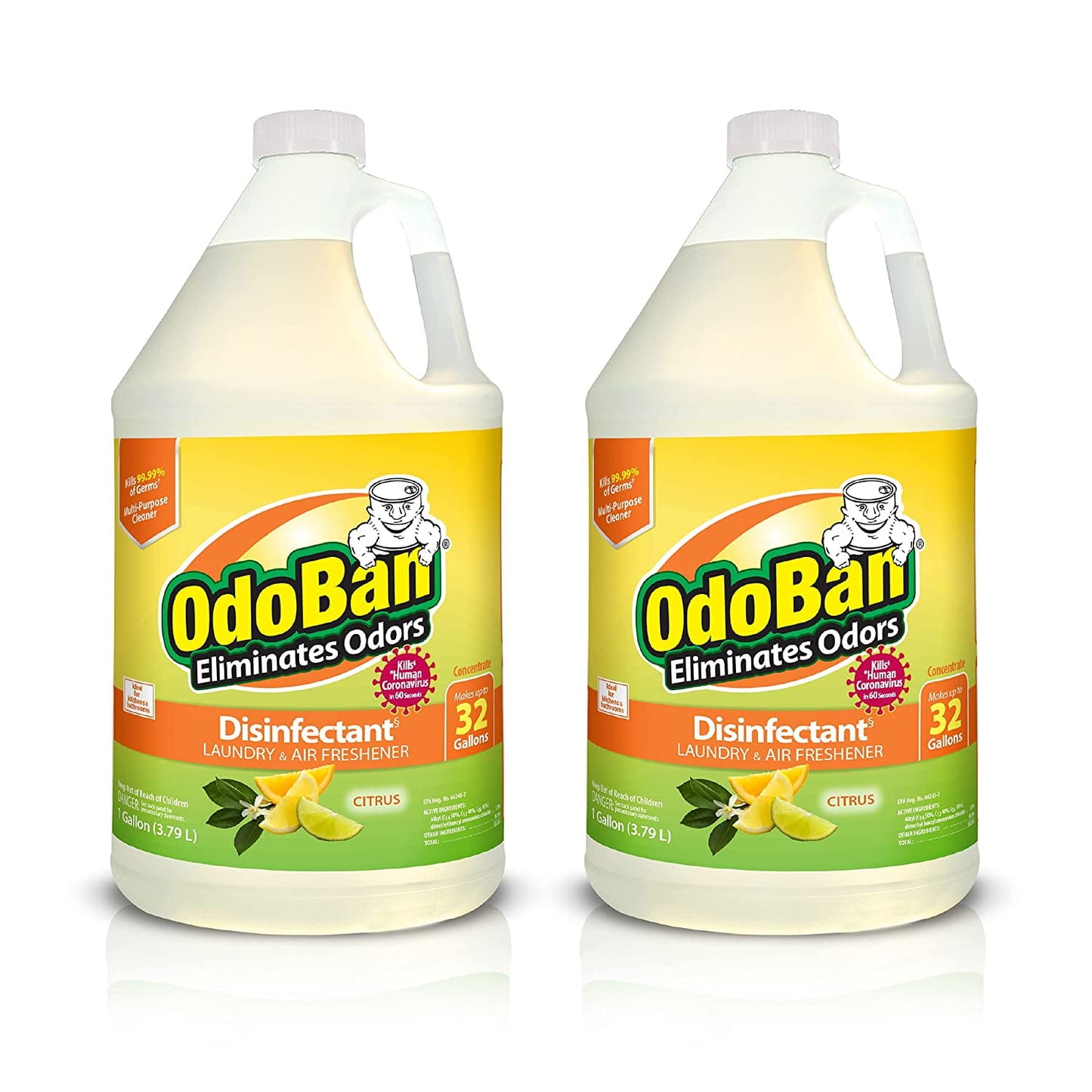 OdoBan Disinfectant Concentrate and Odor Eliminator, 2 Gallons, Original Eucalyptus Scent