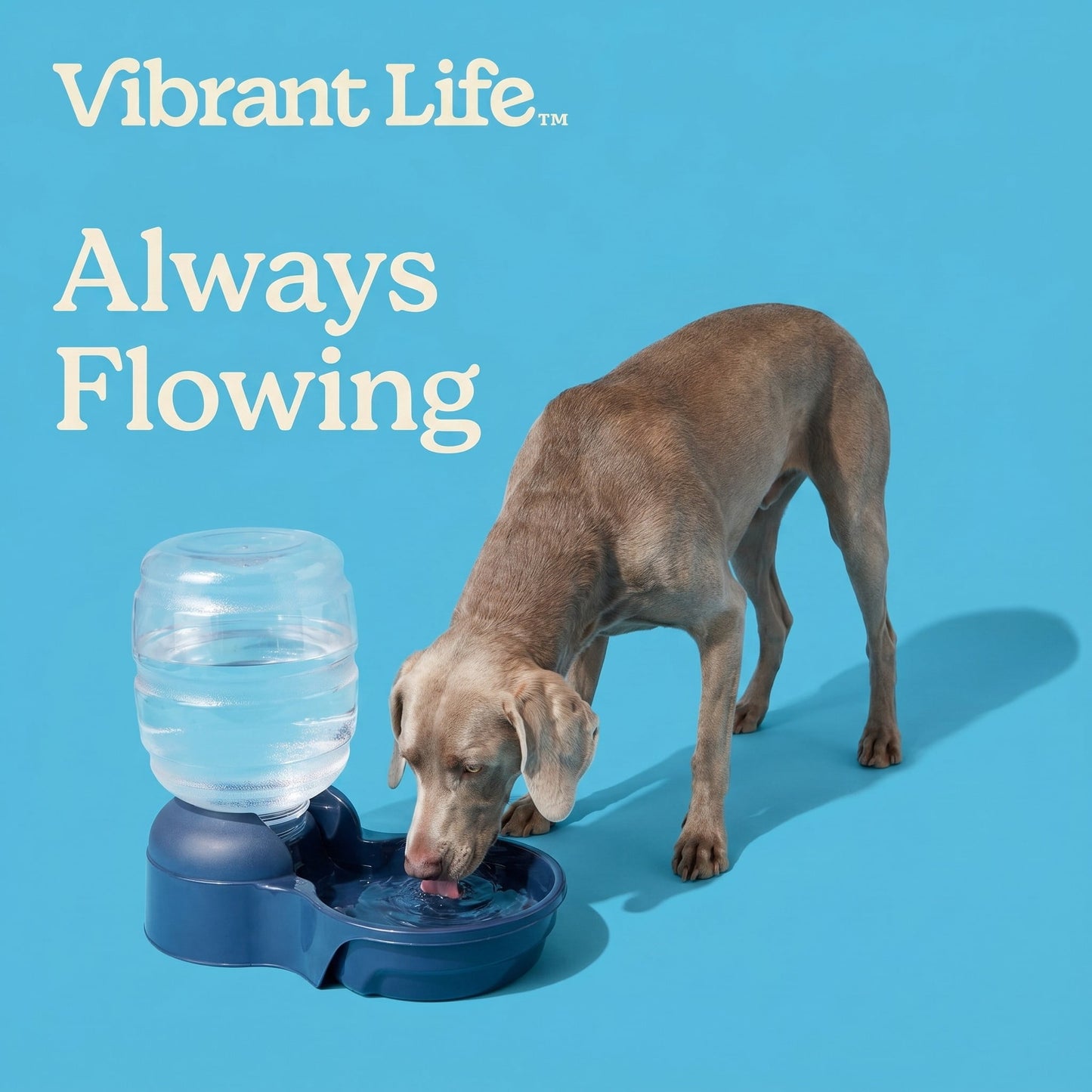 Vibrant Life 4 gal Gravity Waterer for Extra Large Pets, Navy