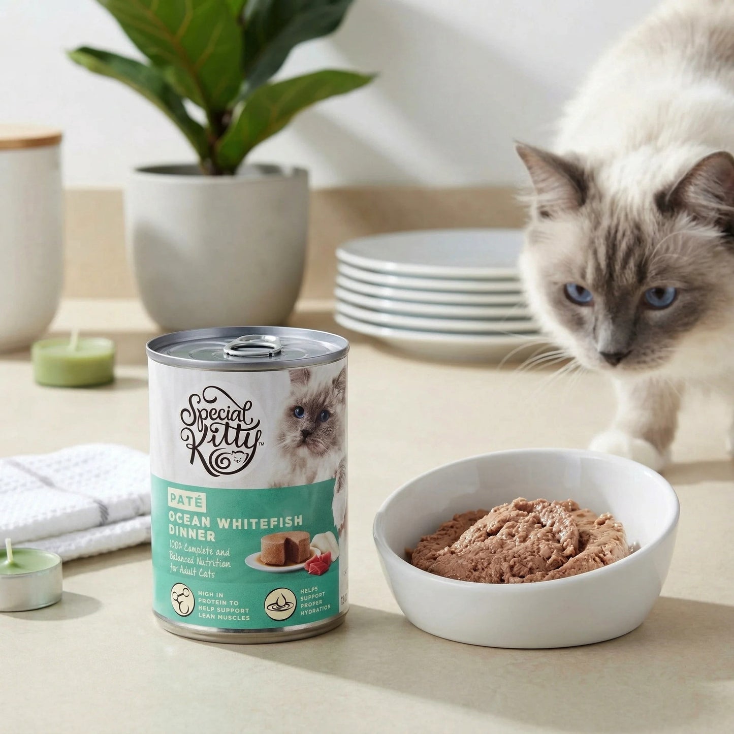 (12 pack) Special Kitty Ocean Whitefish Dinner Pate Wet Cat Food, 13 oz can