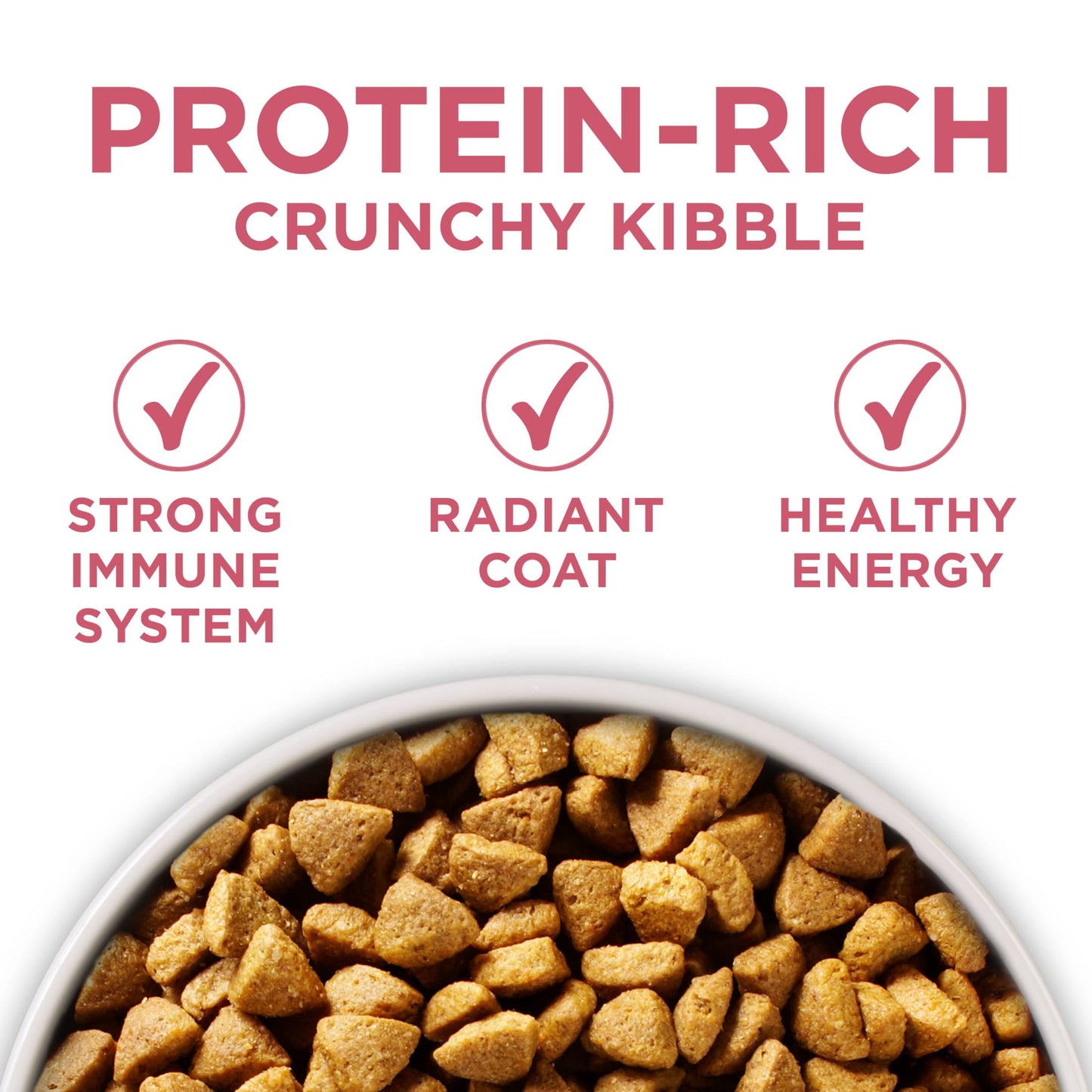 Purina ONE Plus Dry Dog Food Skin & Health Formula, High Protein Rich Natural Salmon, 16.5lb Bag