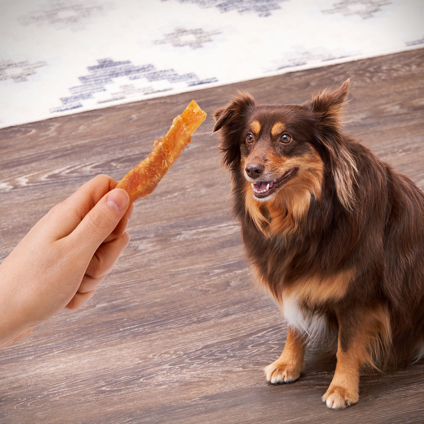 Golden Rewards Sweet Potato Wrapped with Chicken Dog Treats, 64 oz