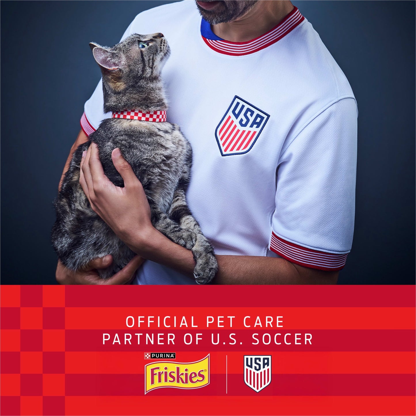 Purina Friskies Dry Cat Food Seafood Sensations with Salmon, Tuna, and Shrimp Flavors, 16 lb Bag