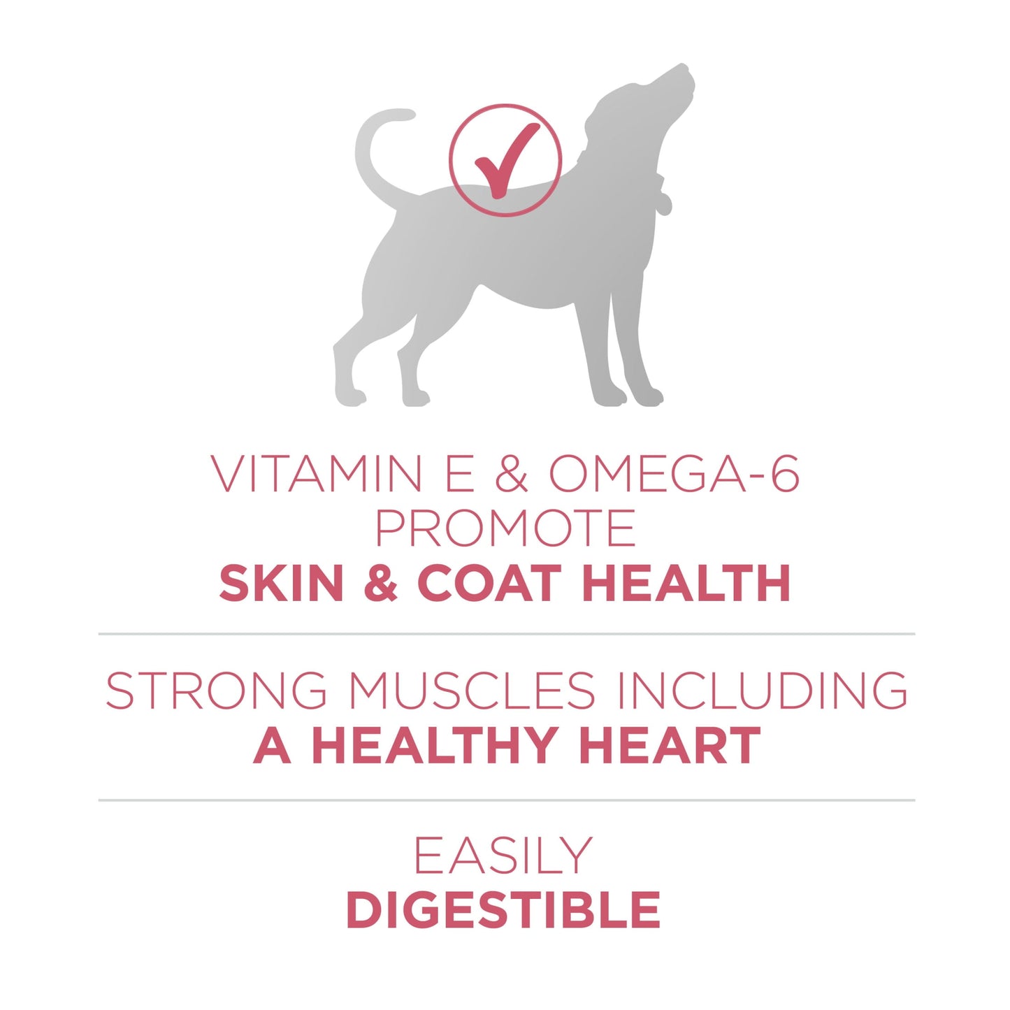 Purina ONE Plus Dry Dog Food Skin & Health Formula, High Protein Rich Natural Salmon, 16.5lb Bag
