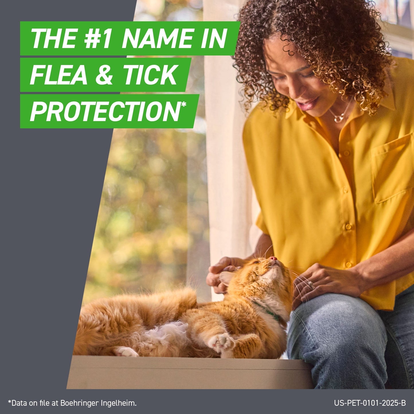 FRONTLINE Plus for Cats and Kittens Flea and Tick Treatment, 6 Count