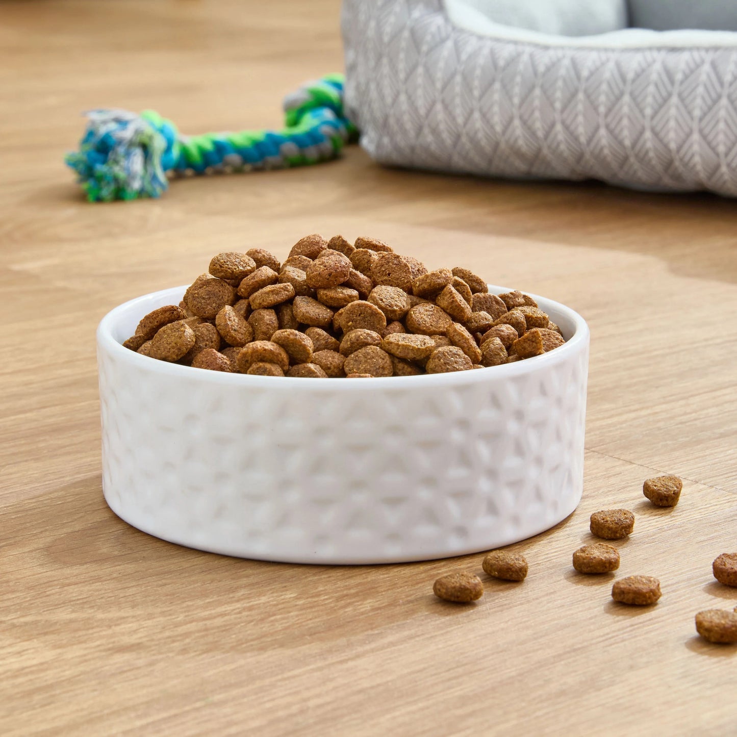 Pure Balance Wild & Free Grain-Free Salmon & Pea Recipe Dry Dog Food, 24 lbs