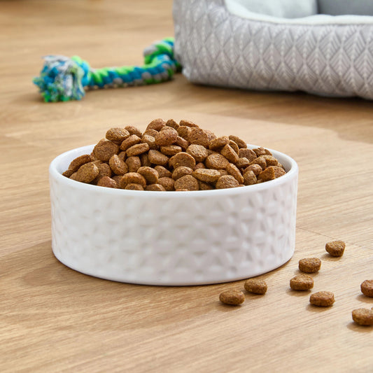 Pure Balance Wild & Free Grain-Free Salmon & Pea Recipe Dry Dog Food, 24 lbs
