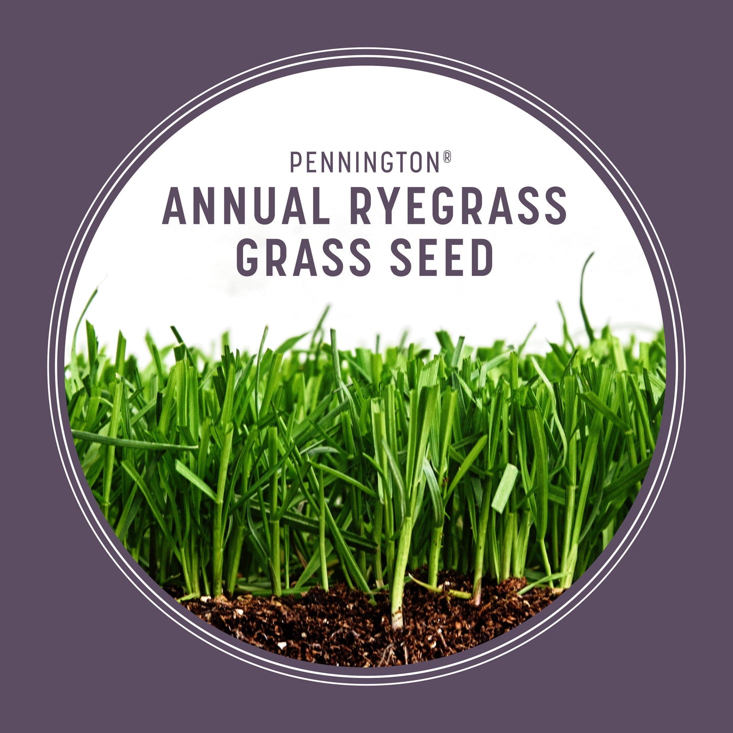 Pennington Annual Ryegrass Grass Seed, 20lb, Full Sun to Partial Shade, Rye Grass Seeds for Lawn, 1 Bag