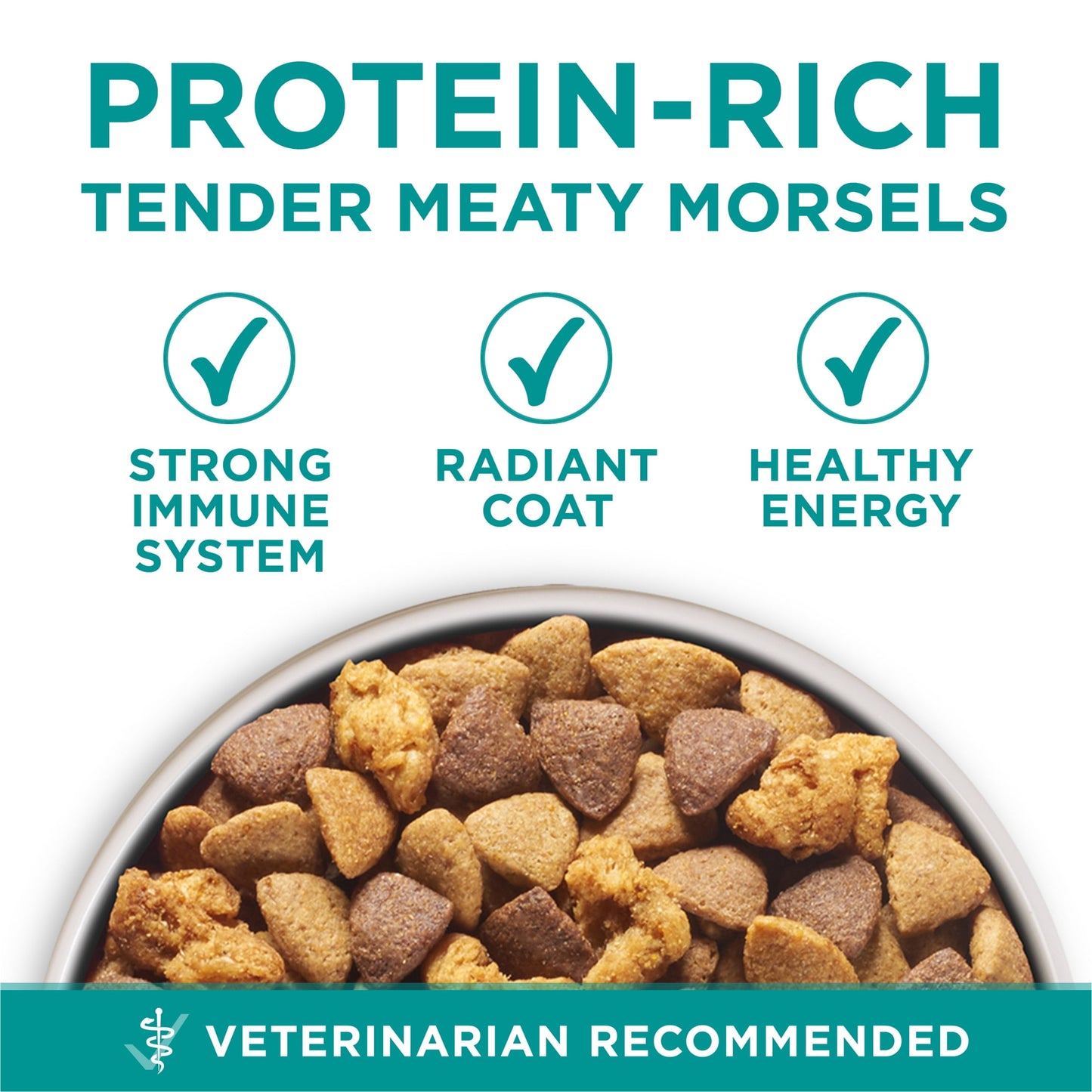 Purina ONE Plus Dry Dog Food Digestive Health, High Protein Natural Chicken & Rice, 16.5 lb Bag