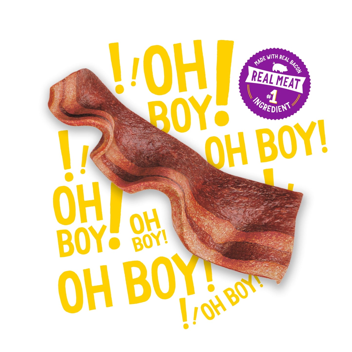 Purina Beggin' Strips Dog Treats Original with Real Bacon Flavor Tender Chews, 40 oz Pouch
