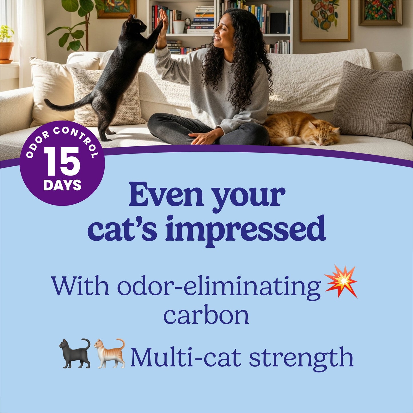 Fresh Step Odor Shield Multi-Cat Clumping Cat Litter, Febreze Freshness Scent, 38 lb, Easy Pour Pouches (4 Pack)
