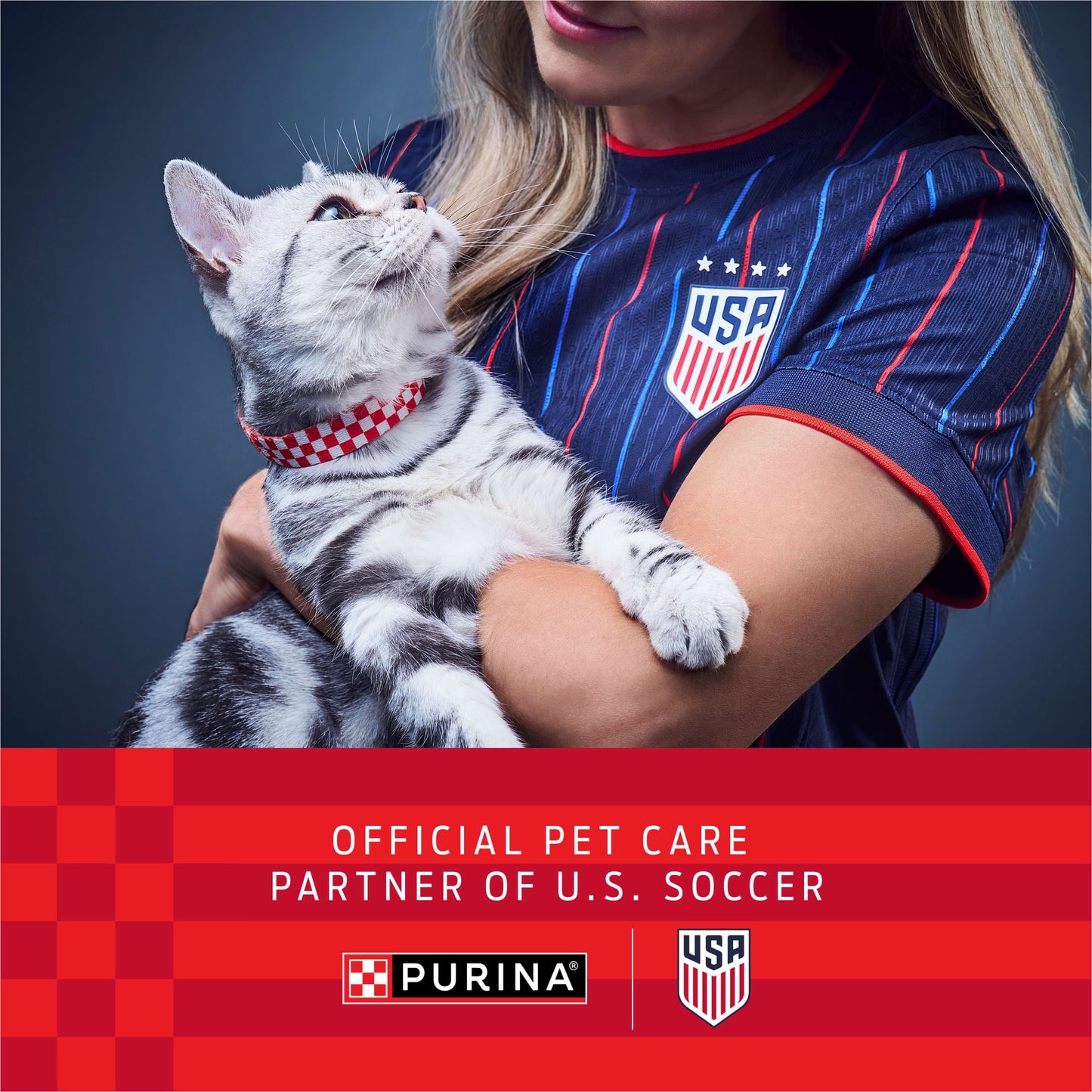 Purina Kitten Chow Year One Essentials with Real Chicken High-Protein Complete, 14 lb.