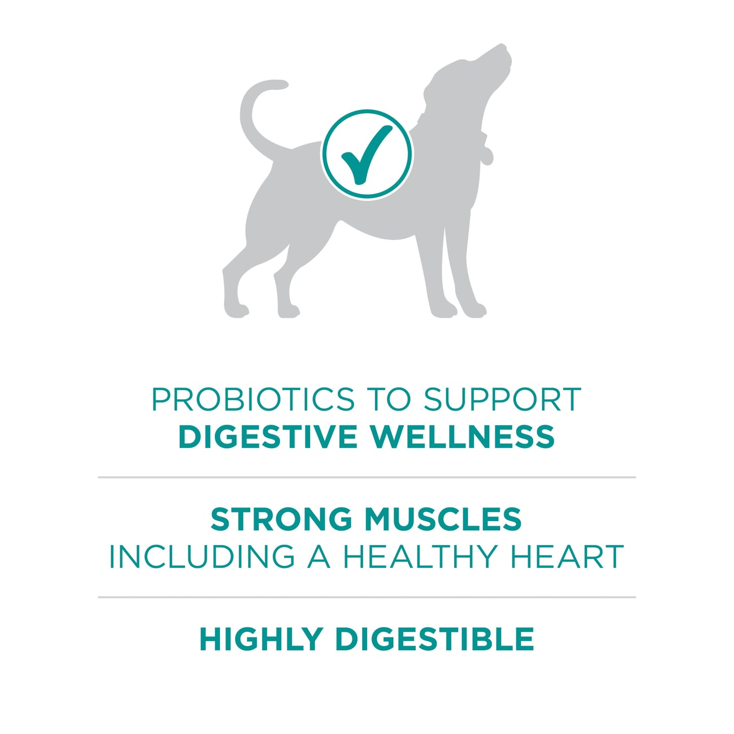 Purina ONE Plus Dry Dog Food Digestive Health, High Protein Natural Chicken & Rice, 16.5 lb Bag