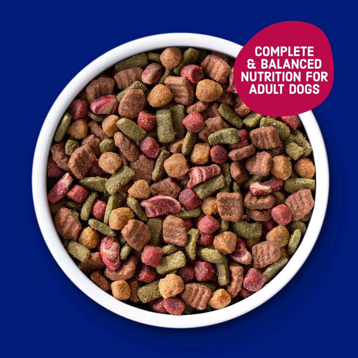 Kibbles 'n Bits Bistro Oven Roasted Beef, Vegetable & Apple Flavors Dry Dog Food, 45 lb. Bag