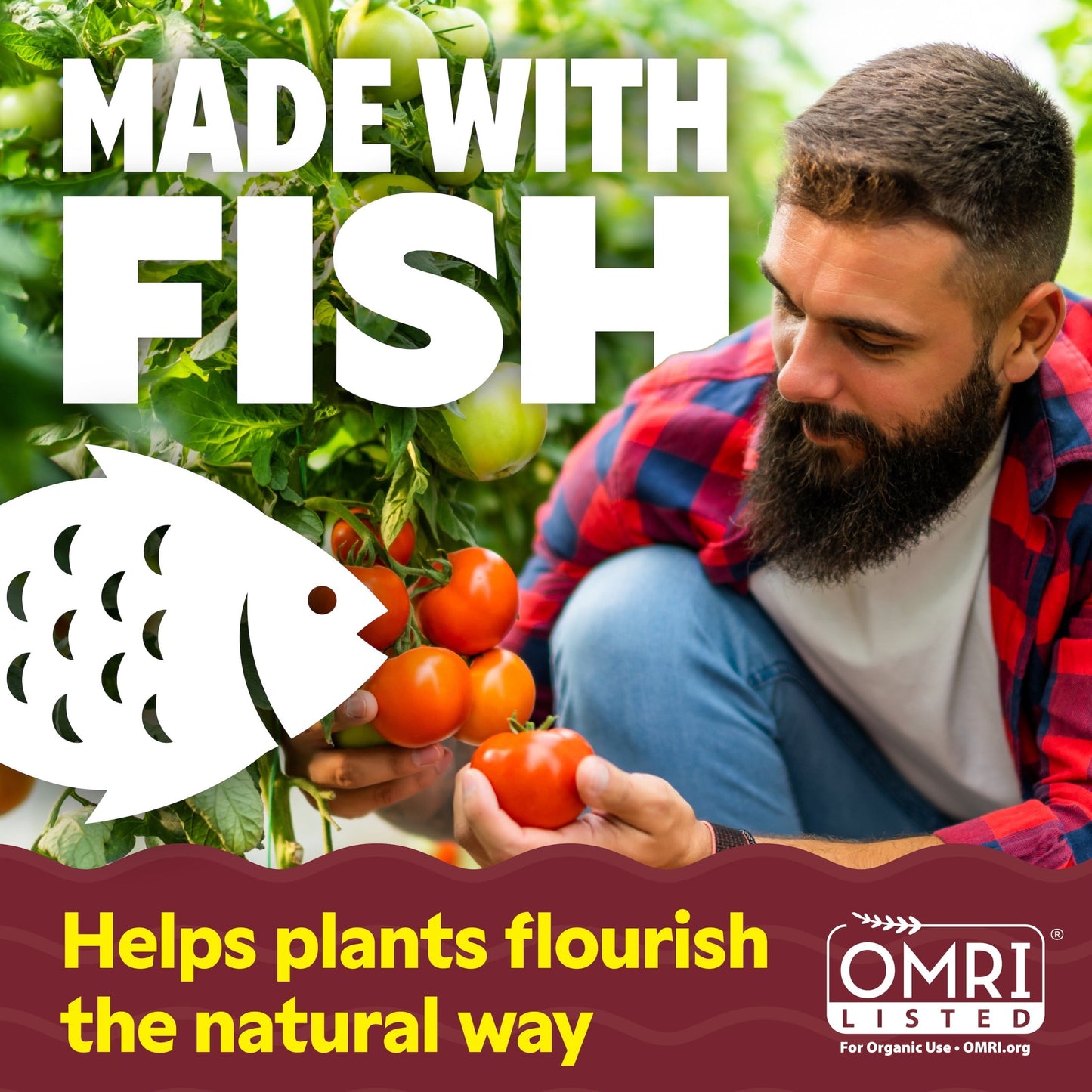 Alaska Fish Fertilizer 5-1-1 Plant Food, 1 gal