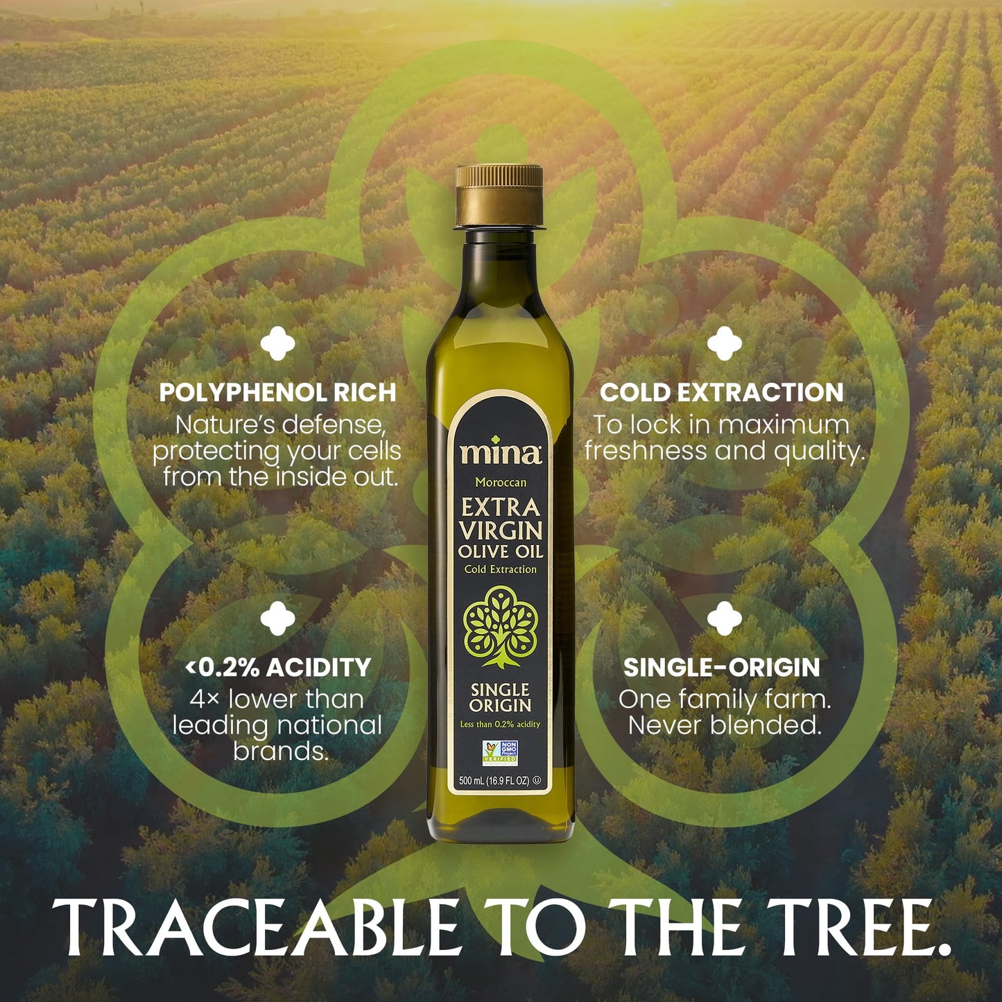 Mina Moroccan Olive Oil Extra Virgin 16.9 Fl Oz (Pack of 6), High Polyphenol Olive Oil, Single Origin Olive Oil 500 ml Each