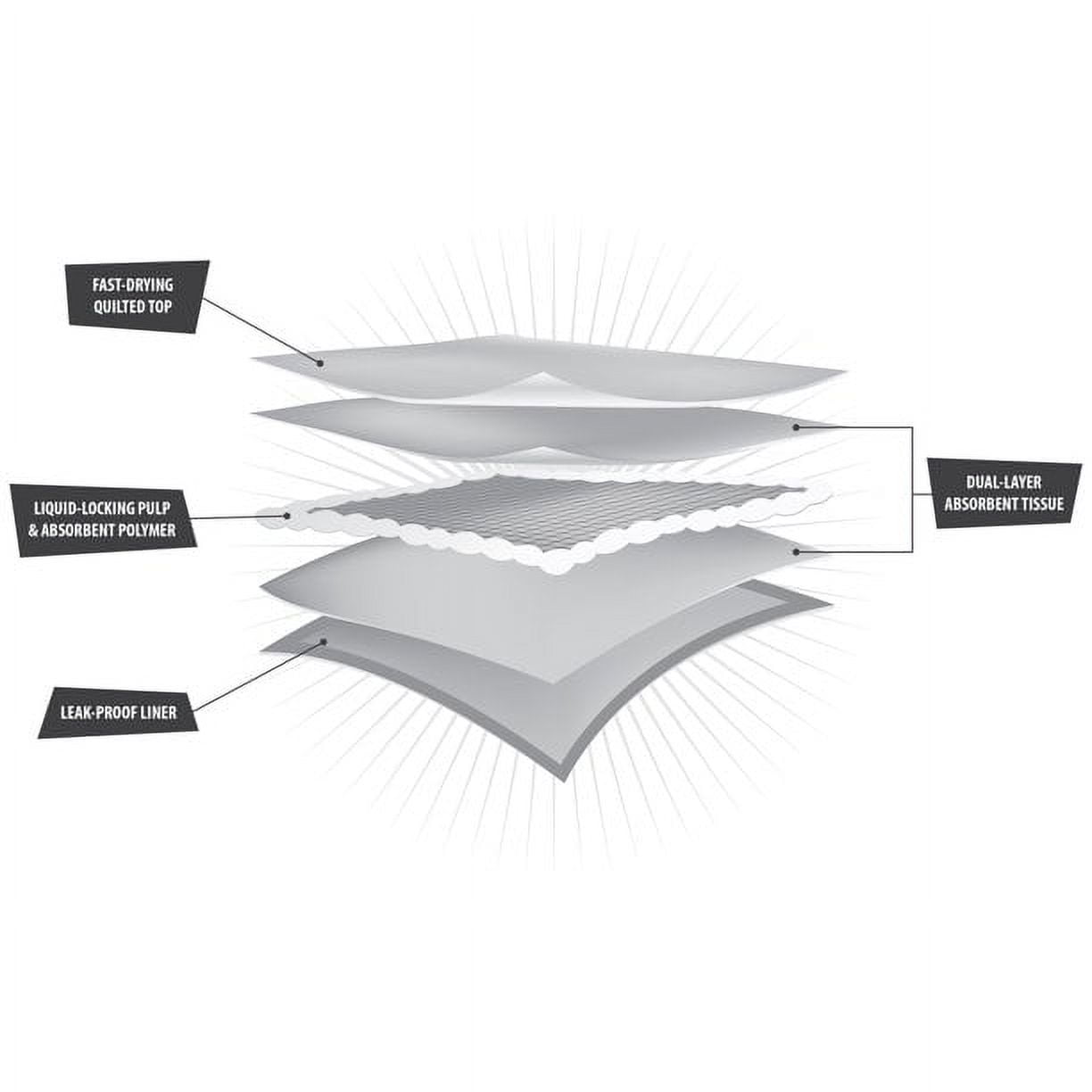 Vibrant Life Training Pads â€“ Super Absorbent, Leak Proof, & Fast Dry Dog and Puppy Pee Pads â€“ L 22â€¯in x 22â€¯in, 100â€¯Count