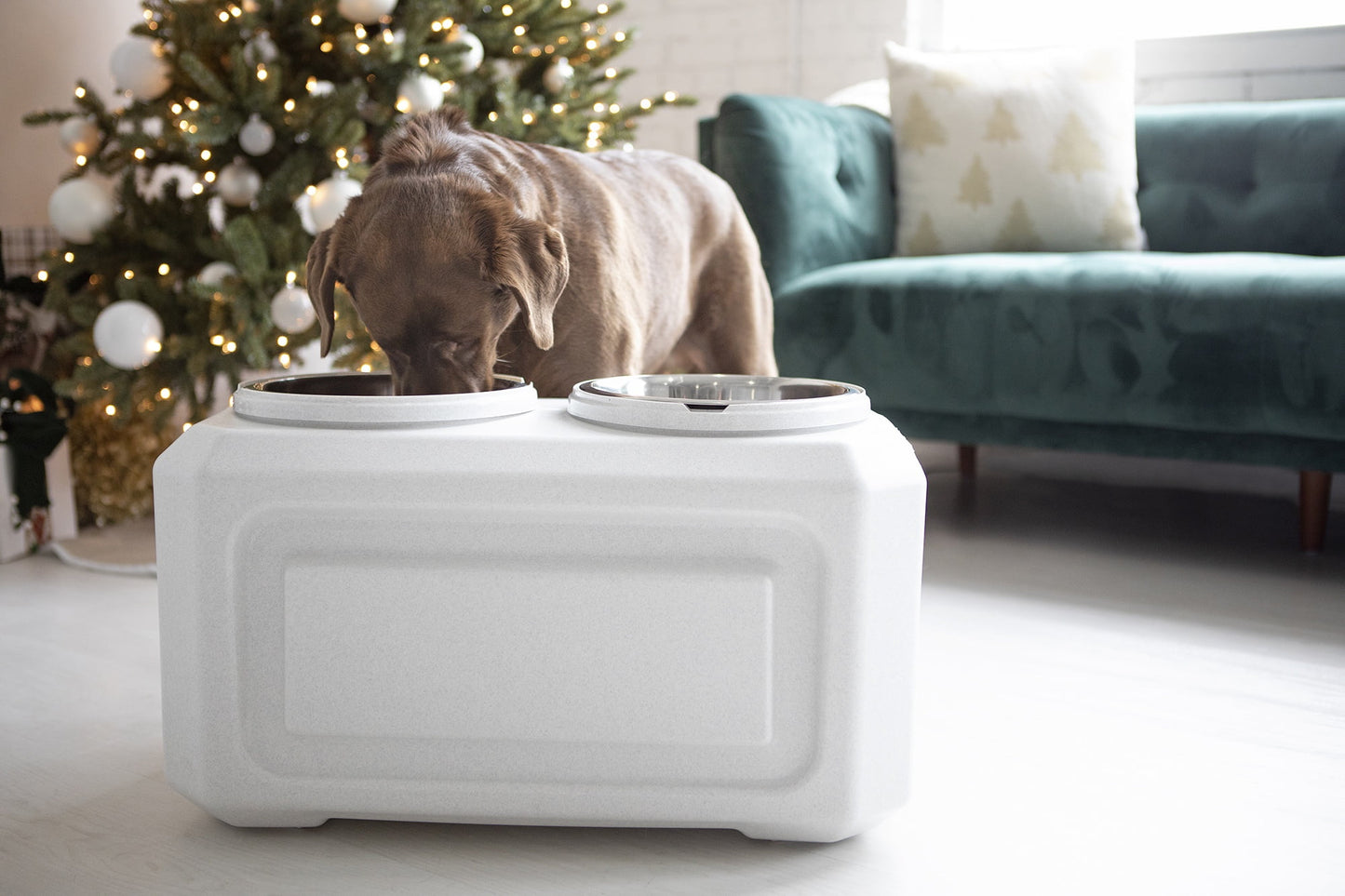 Gamma2 Vittles Vault 2-in-1 Elevated Stainless Steel Dog Bowls with 50 lb Dry Food Storage, White
