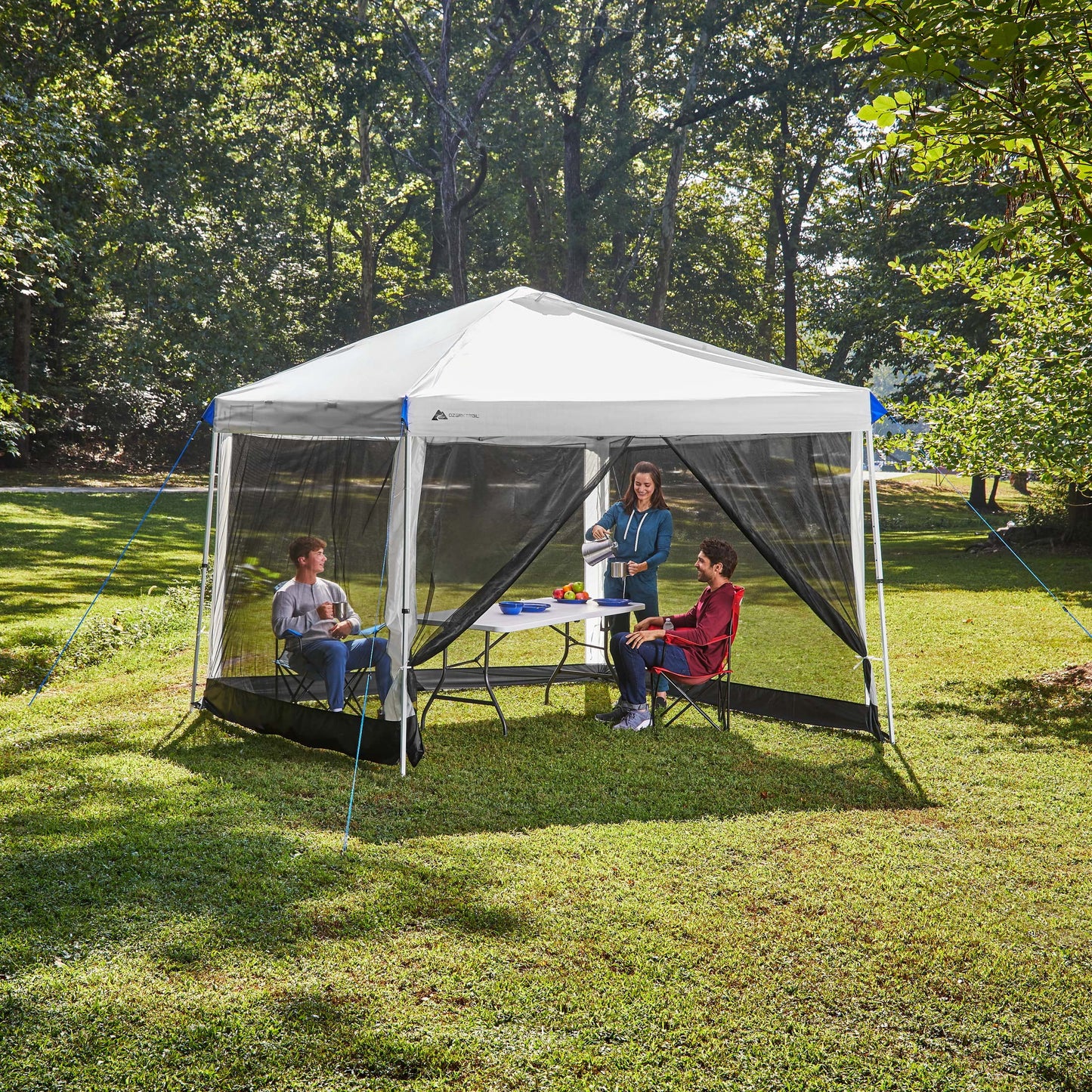 Ozark Trail Canopy Mesh Curtain Accessory with Zippered Walls for 10' x 10' Canopy