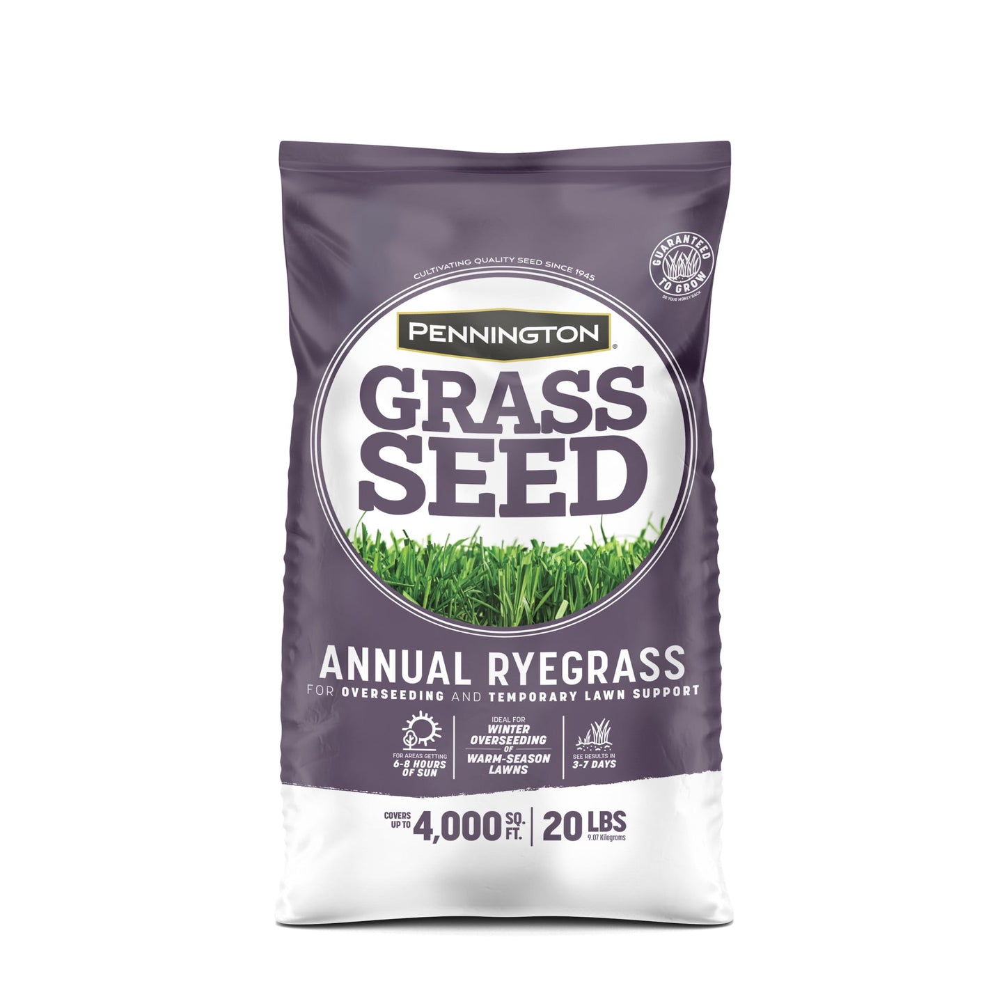 Pennington Annual Ryegrass Grass Seed, 20lb, Full Sun to Partial Shade, Rye Grass Seeds for Lawn, 1 Bag