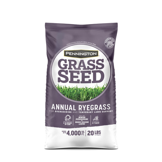 Pennington Annual Ryegrass Grass Seed, 20lb, Full Sun to Partial Shade, Rye Grass Seeds for Lawn, 1 Bag