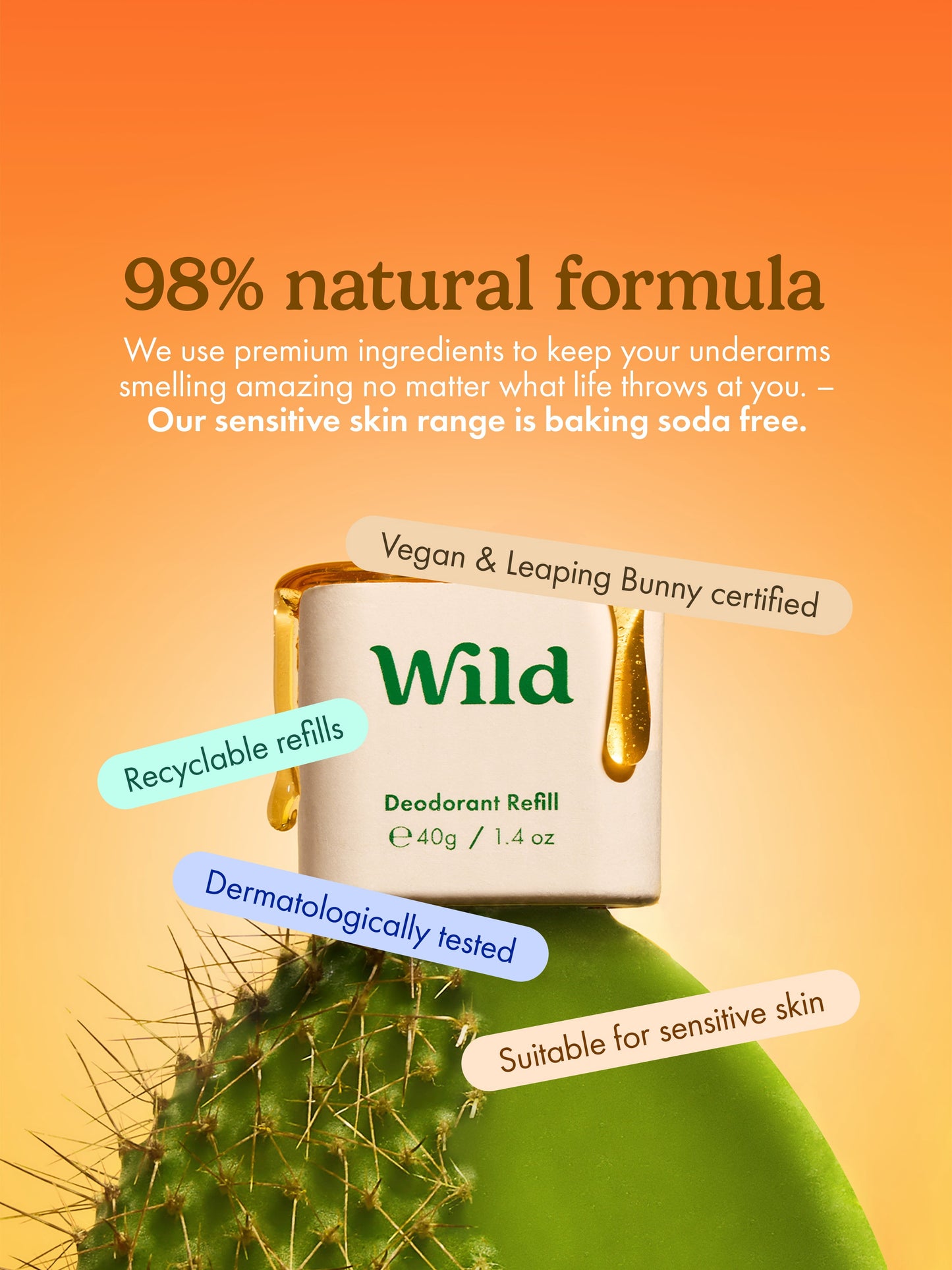 Wild Refillable Deodorant Starter Pack – Aluminum Free. Emma Bridgewater Bee Case + Honey & Cactus Flower Refill, for Women and Men, 1.4oz