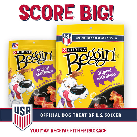 Purina Beggin' Strips Dog Treats Original with Real Bacon Flavor Tender Chews, 40 oz Pouch