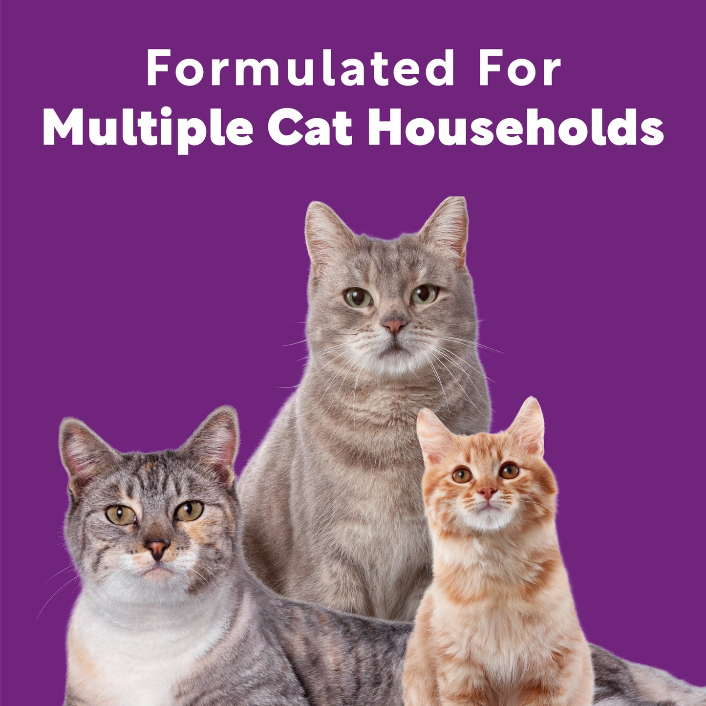 (3 pack) Scoop Away Multi Cat Litter With Meadow Fresh Scent, 38 lb. Box