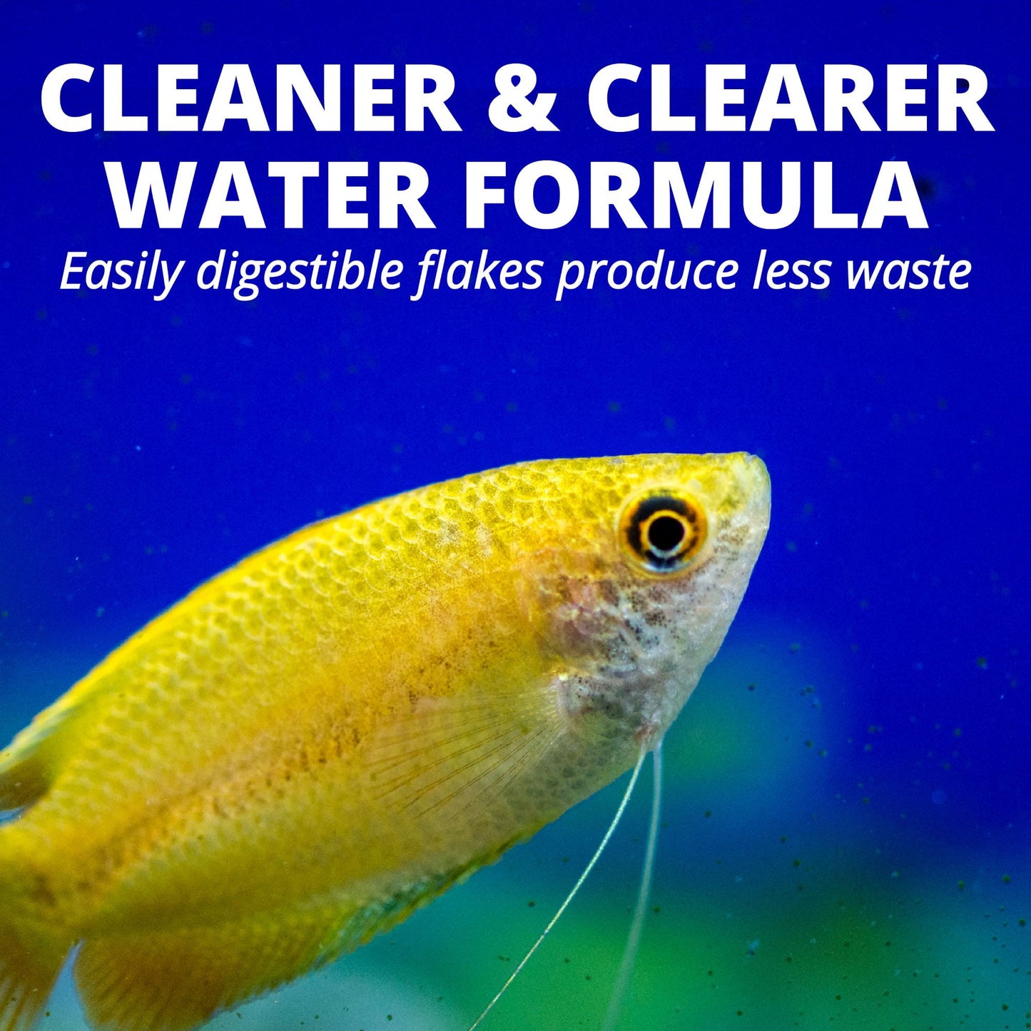 Tetra TetraMin Tropical Flakes, Nutritionally Balanced Fish Food, 4.52 lbs.