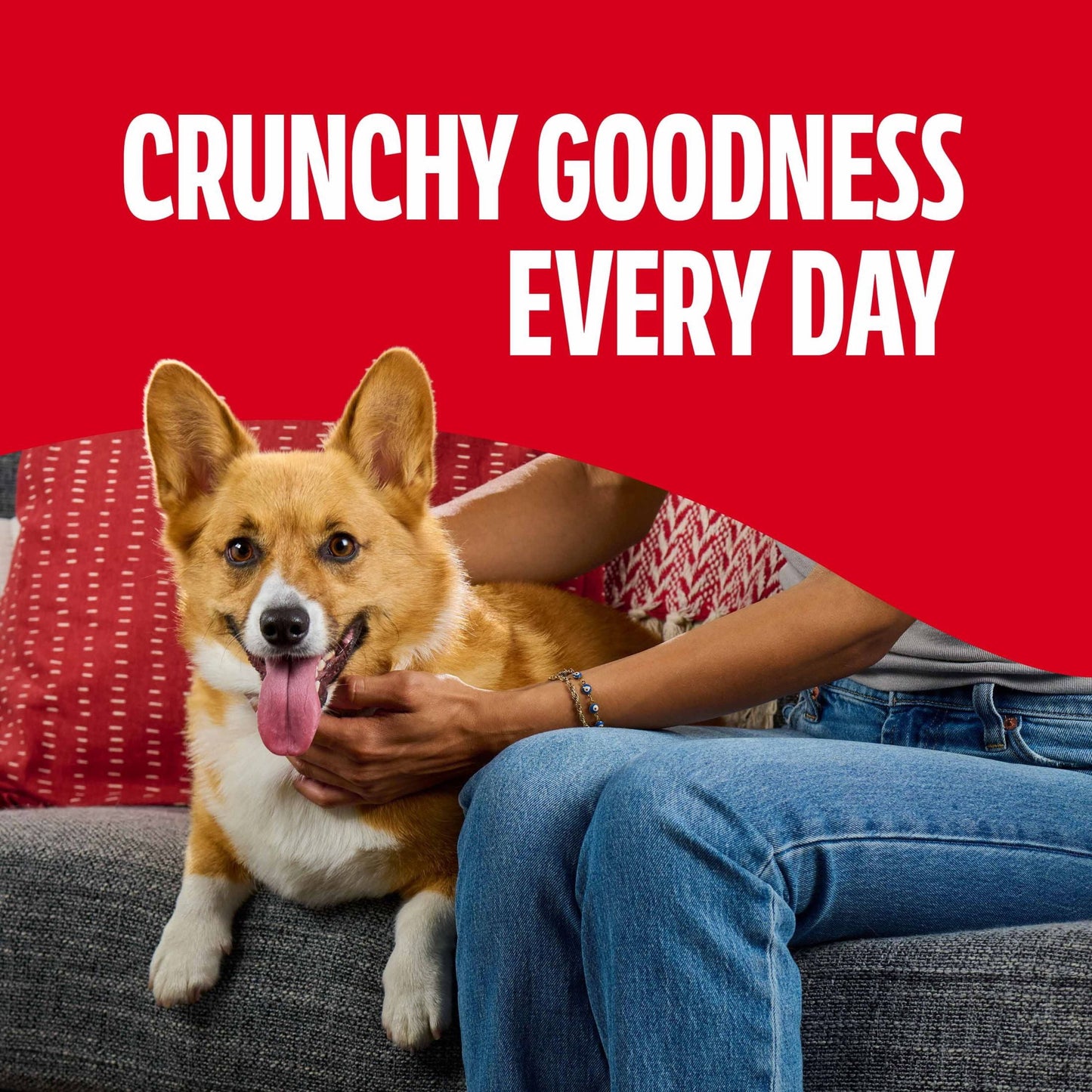 Milk Bone Flavor Snacks Small Dog Biscuits, Flavored Crunchy Dog Treats, 7 Lb. Box
