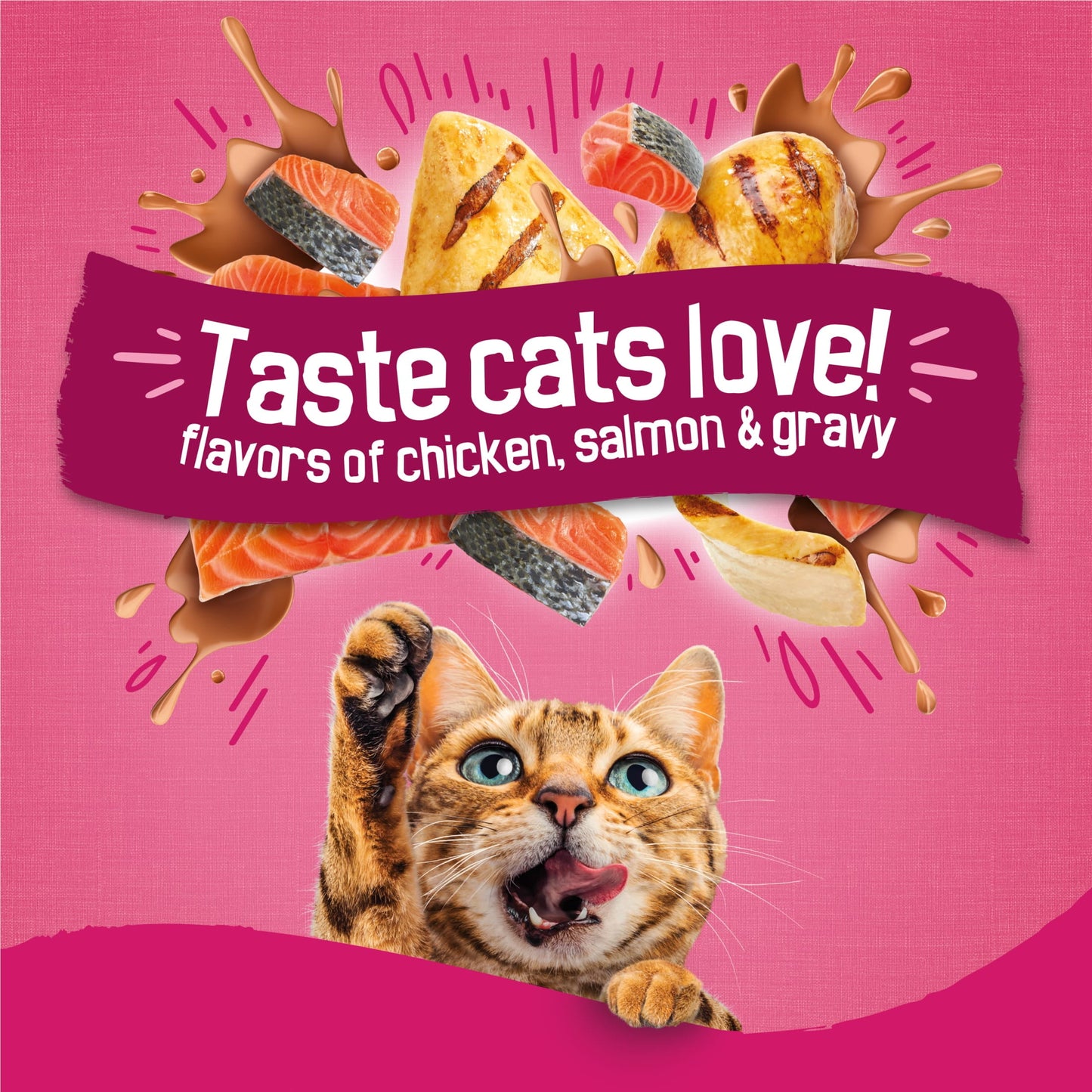 Purina Friskies Dry Cat Food Gravy Swirl'd with Flavors of Chicken, Salmon and Gravy Dry Cat Food, 16 lb Bag