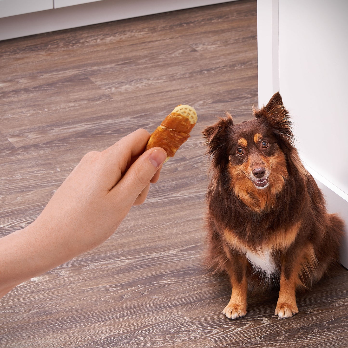 Golden Rewards Peanut Butter Flavor Biscuit Wrapped with Chicken Dry Biscuit Treats for Dogs, 32 oz