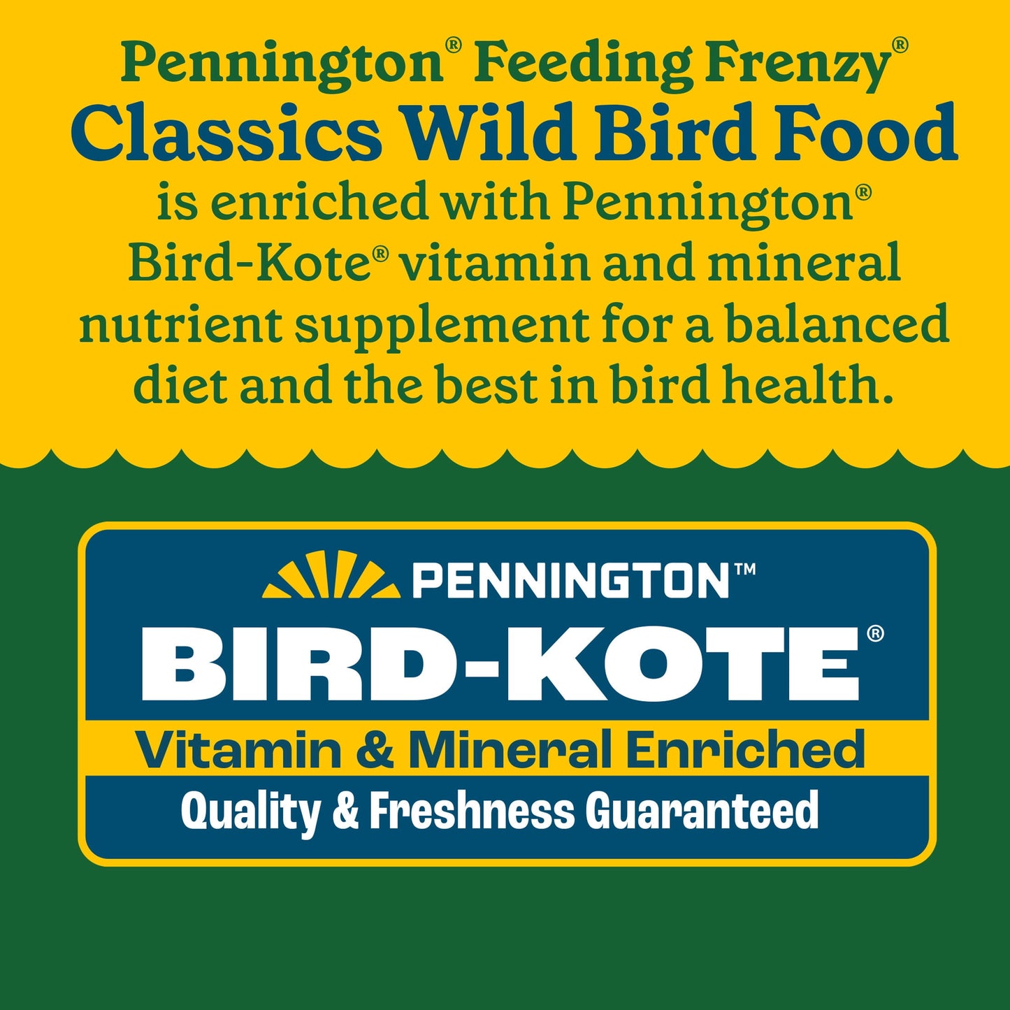 Pennington Classic Wild Bird Feed and Seed, 40 lb. Bag, Dry, 1 Pack