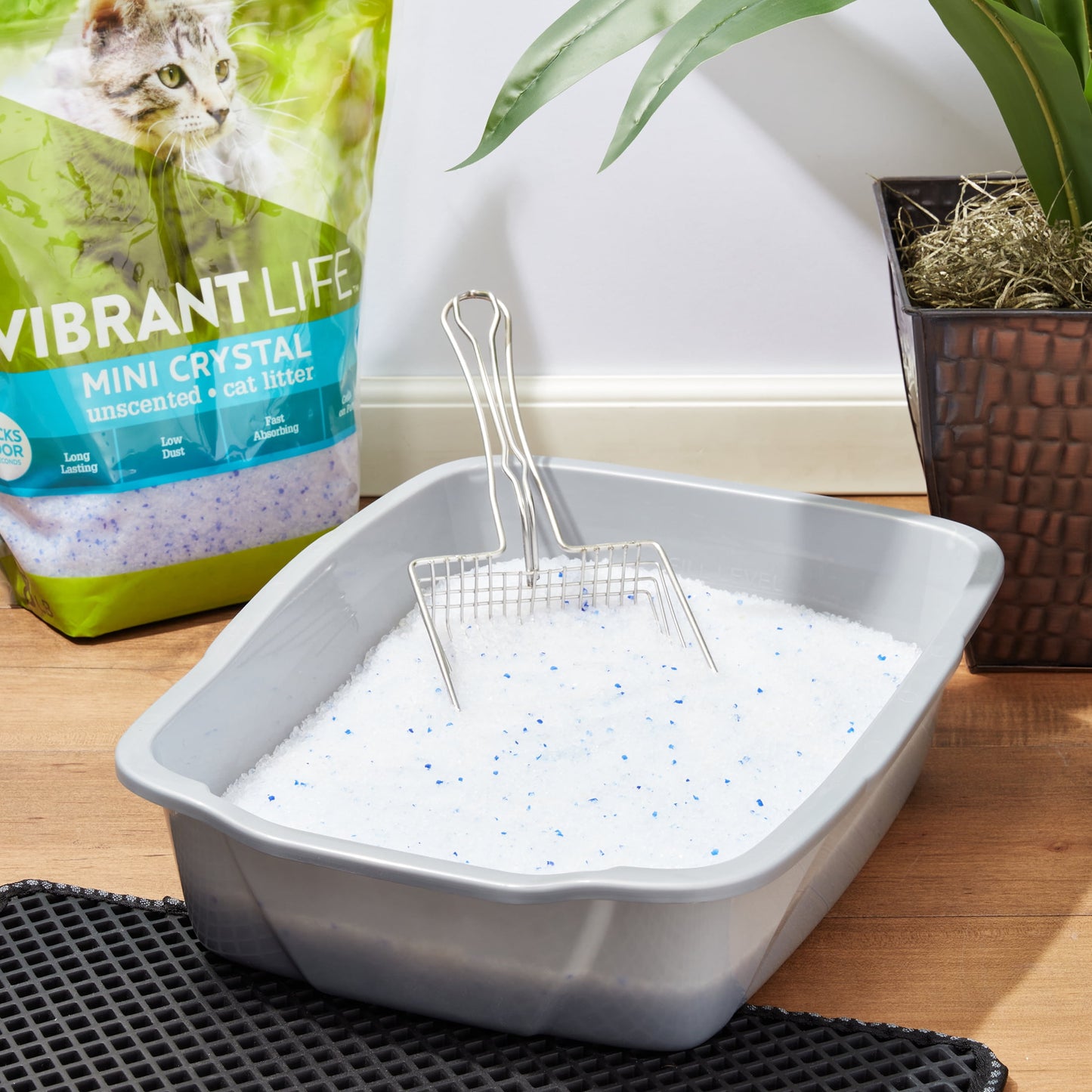 (4 pack) Vibrant Life Mini Crystal Cat Litter, Unscented, 8 lb Bag, 1 Count