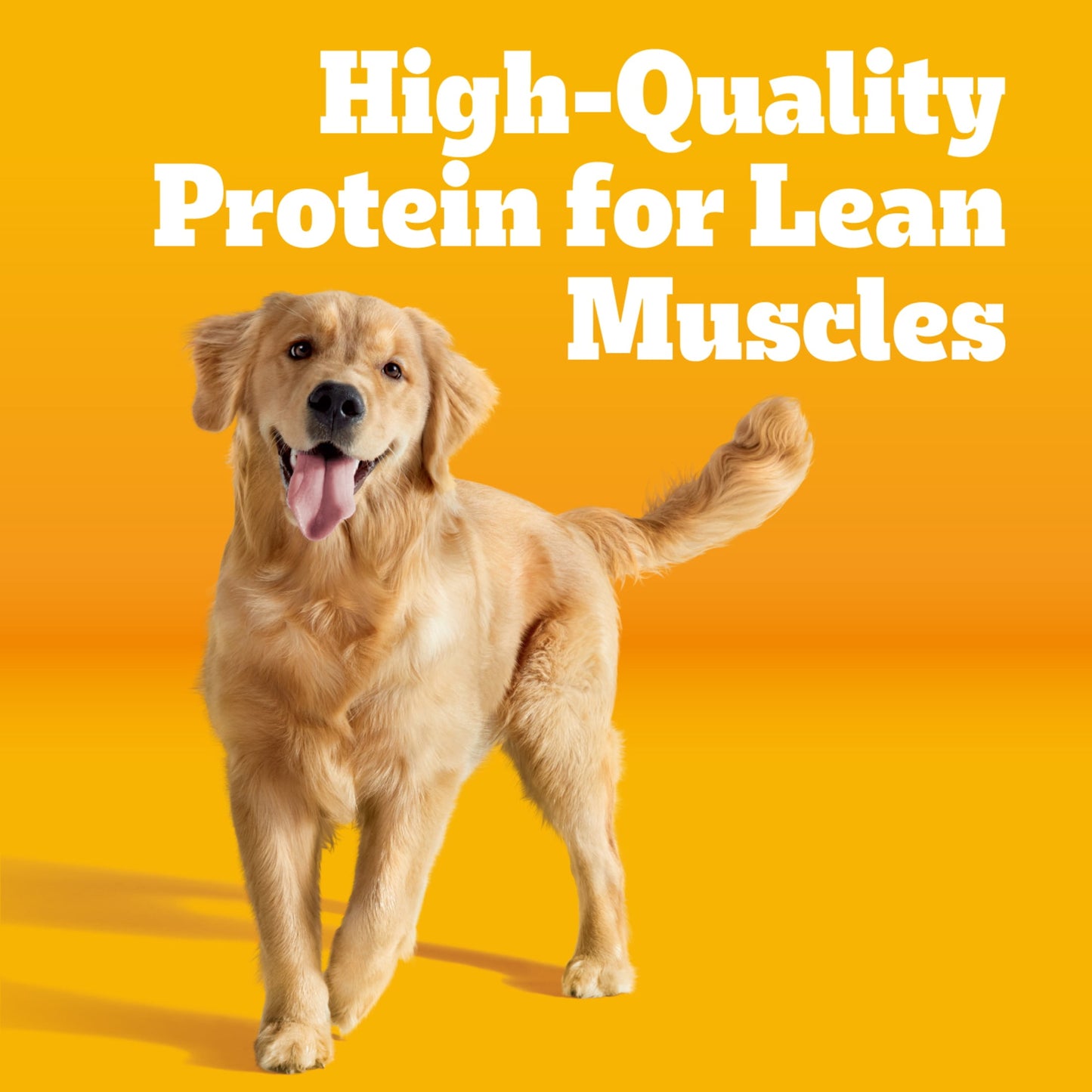 Pedigree Complete Nutrition Adult Dry Dog Food, Steak & Vegetable Flavor, 40 lb Bag