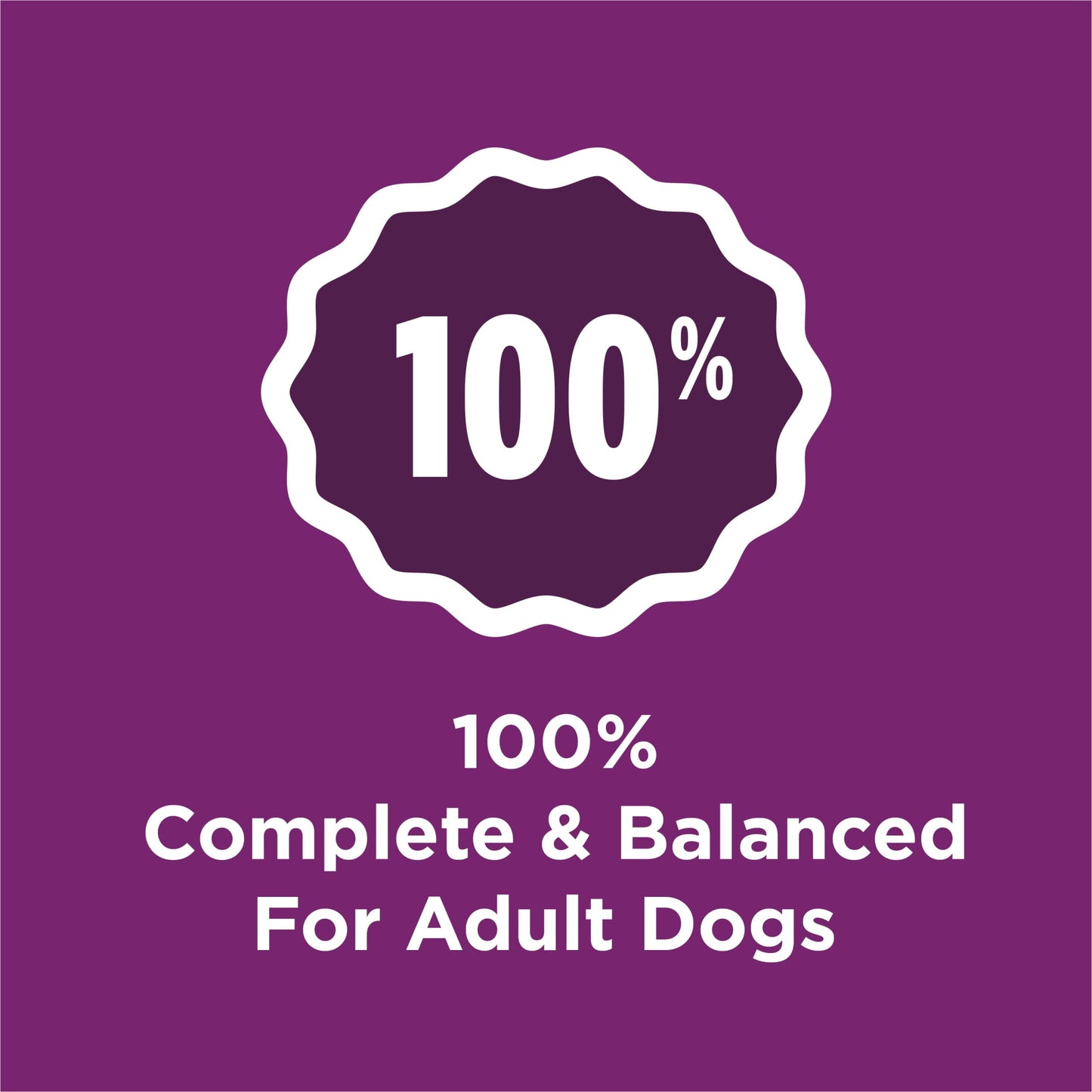Purina Dog Chow Complete Dry Dog Food for Adult Dogs High Protein, Lamb, 44 lb Bag