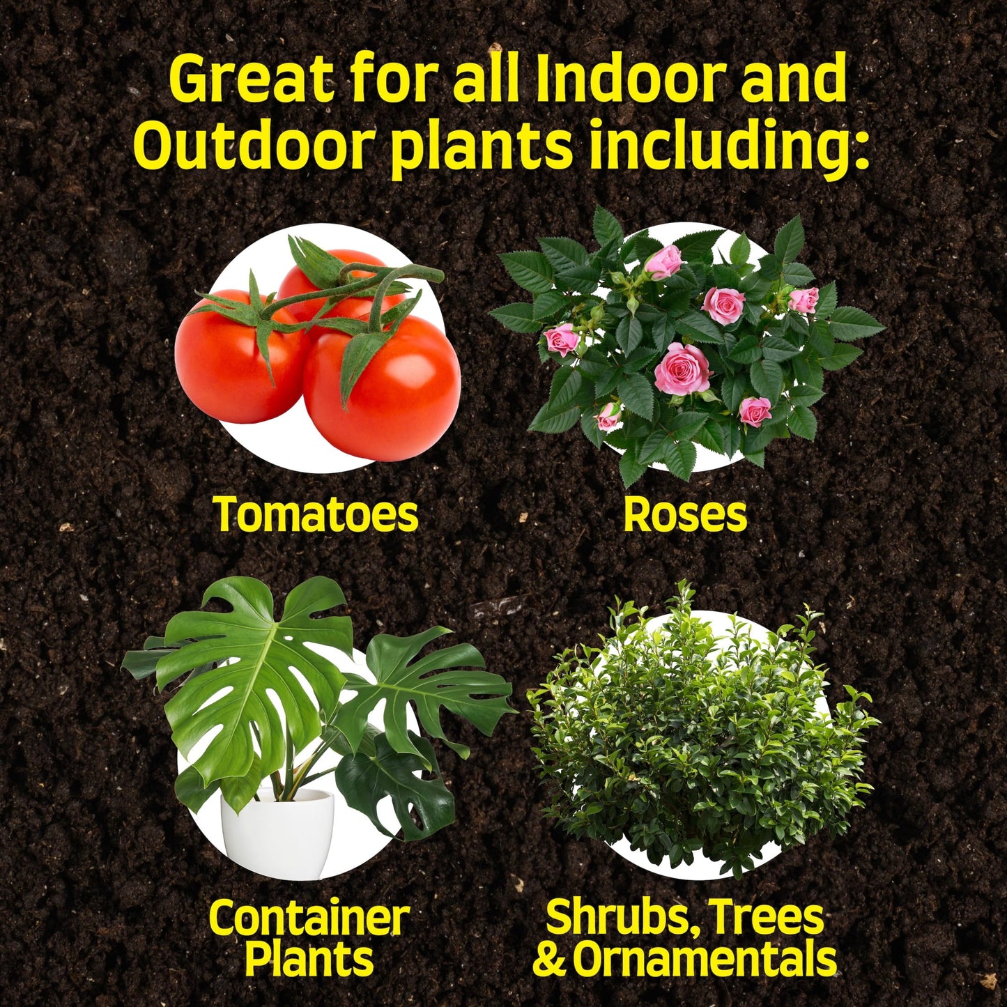Alaska Fish Fertilizer 5-1-1 Plant Food, 1 gal