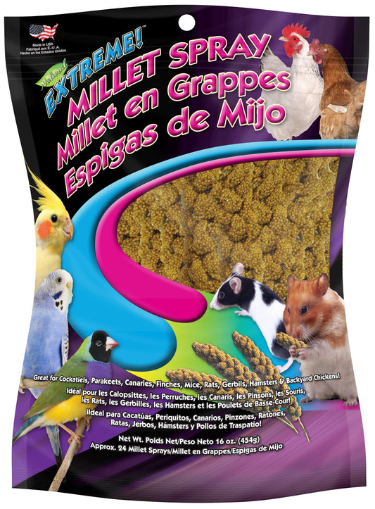 (4 pack) F.M. Brown's Extreme Spray Millet Treat 16 Oz For Parakeets, Cockatiels, and Finches
