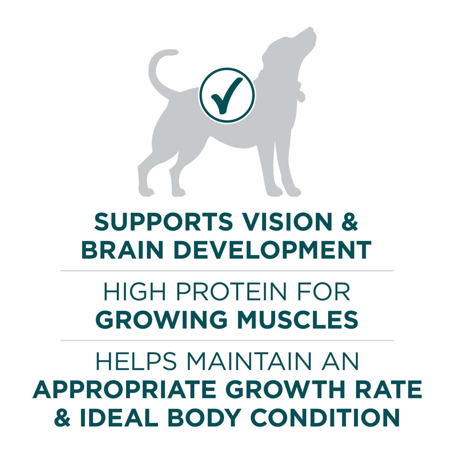 Purina One Plus Puppy Dry Dog Food for Large Dogs High Protein Growth Support, Real Chicken, 31.1 lb Bag