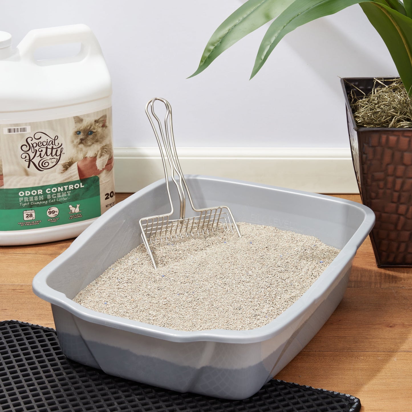 (2 pack) Special Kitty Clumping Clay Cat Litter, Fresh Scent, 20 lbs Jug, 1 Count