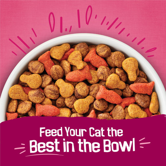 Purina Friskies Dry Cat Food Gravy Swirl'd with Flavors of Chicken, Salmon and Gravy Dry Cat Food, 16 lb Bag