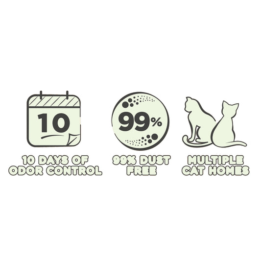 Special Kitty Clumping Clay Cat Litter, Fresh Scent, 45 lbs Box, 1 Count
