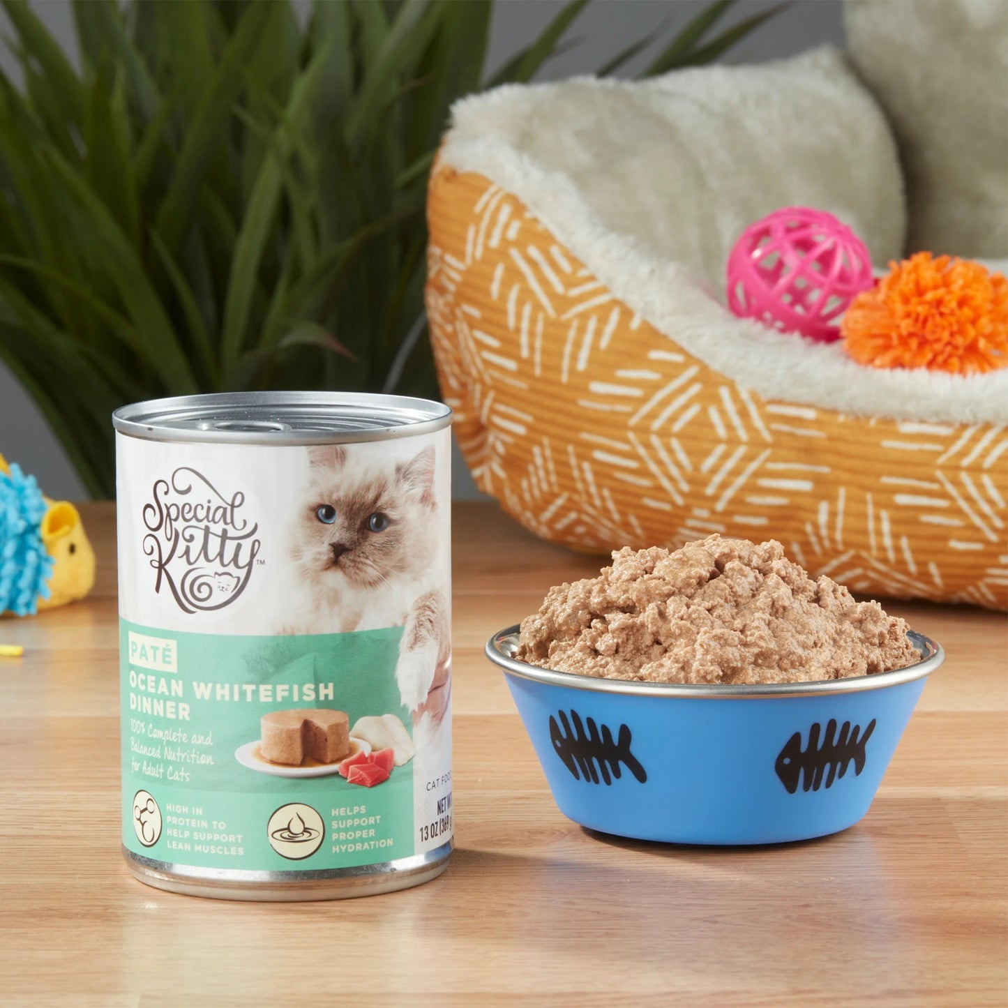 (12 pack) Special Kitty Ocean Whitefish Dinner Pate Wet Cat Food, 13 oz can