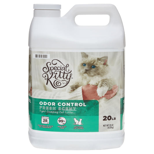 (4 pack) Special Kitty Clumping Clay Cat Litter, Fresh Scent, 20 lbs Jug, 1 Count