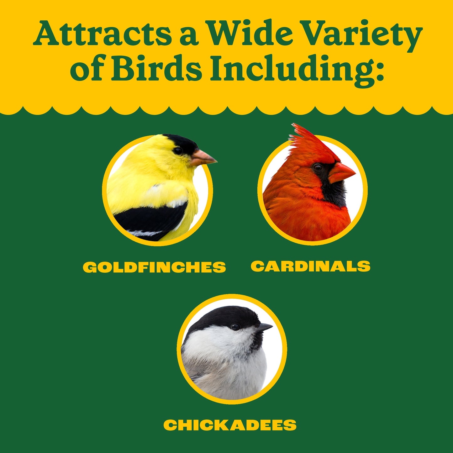 Pennington Classic Wild Bird Feed and Seed, 40 lb. Bag, Dry, 1 Pack