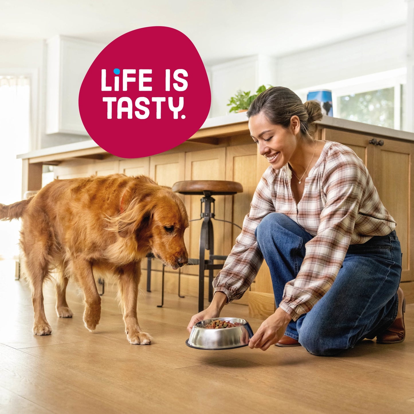 Kibbles 'n Bits Bistro Oven Roasted Beef, Vegetable & Apple Flavors Dry Dog Food, 45 lb. Bag